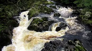 Falls of Feugh - Salmon Jumping