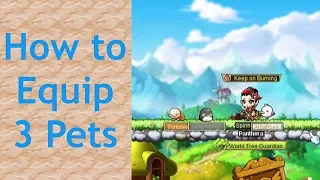 How to Equip 3 Pets