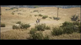 Red Dead Redemption 2_20240309225702