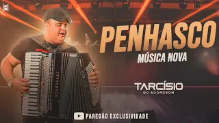 🔥 PENHASCO  |  TARCÍSIO  DO ACORDEON - ÁUDIO  OFICIAL