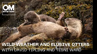 Wildlife Photography with OM SYSTEM | Wild weather and elusive otters