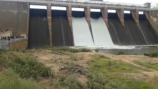 Vaigai dam water open live video