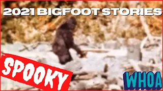 40 REAL BIGFOOT ENCOUNTER STORIES | #Bigfoot #Storytime!