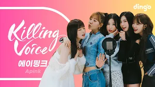 에이핑크(Apink)의 킬링보이스를 라이브로! – Mr. Chu, NoNoNo, 1도 없어, D N D, LUV, 덤더럼, 몰라요, Remember, U You | 딩고뮤직