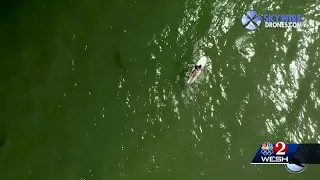 Incredible drone video shows at least 8 sharks in shallow water off Ponce Inlet