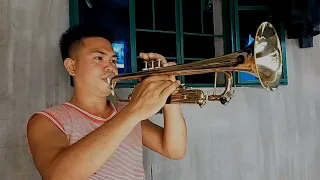 Strangers In The Night - Frank Sinatra (Trumpet) Cover 🎺