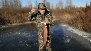 Костюм Горка в Богородицке