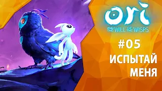 Прохождение Ori and the Will of the Wisps #05 - Испытай меня. Гонка "Лощина Кволока"