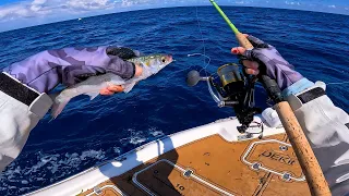 This Bait Gets Smoked On The FLAT LINE | offshore and inshore florida fishing!!!