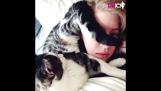 40 Photos That Prove That Cats Really Don’t Care About Your Personal Space