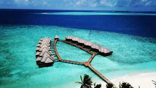 MALEDIWY 2020 Fihalhohi Island Resort 4K