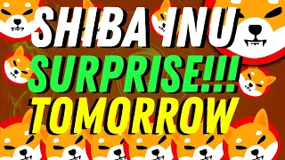 SHIBA INU COIN WARNING 🔥 SHIBARIUM UPDATE! WHEN WILL RISE 🚨 PRICE PREDICTION