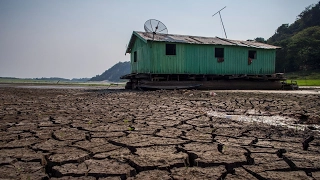 Бразильцы страдают из-за засухи на северо-востоке страны (новости)