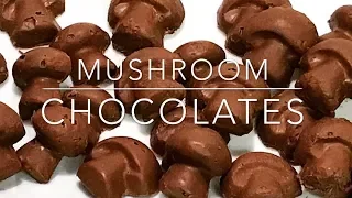 Magic Mushroom Chocolates