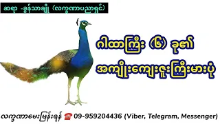 ဂါထာကြီး (၆)ခု၏ အကျိုးကျေးဇူးကြီးမားပုံ - ခွန်သာချို