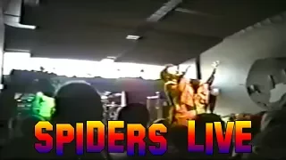 System Of A Down - Spiders Live Knickerbockers 1998