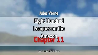 Eight Hundred Leagues on the Amazon Audiobook Chapter 11