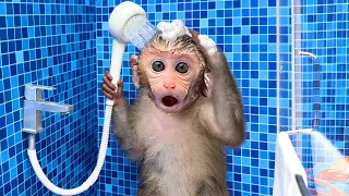 Monkey Baby Bon Bon oes to the toilet and plays with Ducklings in the swimming pool || kids learning