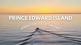 PEI Spring Lobster Setting Day