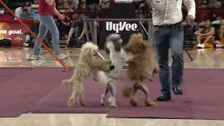 2021-22 Men's Basketball Halftime Performance - The Pompeyo Family