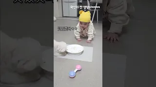 아기와 강아지 밥이 비슷하면 생기는일...ㅋㅋㅋㅋ(feat.루퐁이네)#shorts