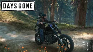 Days Gone + Mods #16