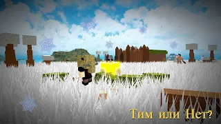 Тим или нет?(Проверяем игроков в Roblox Booga Booga)