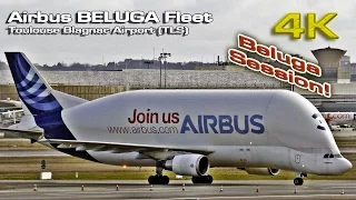 Beluga Airbus (Complete Fleet) [4K]