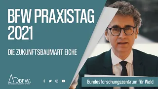 BFW Praxistag 2021 - Die Zukunftsbaumart Eiche  |  Aufzeichnung vom 14.Jänner 2021