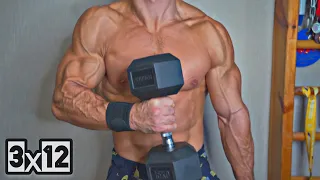 Make a BICEPS at Home. Home Workout with Dumbbells