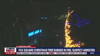 Fox News Christmas tree set on fire: Suspect arrested | LiveNOW from FOX