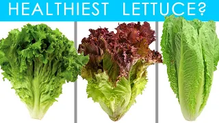 All Lettuce Are NOT the Same!  Which Lettuce is Best? In-Depth Nutrition Facts for Each + Comparison