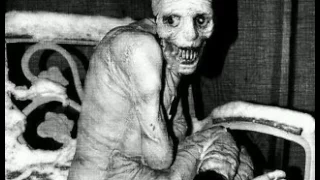 Russian sleep experiment Documentry