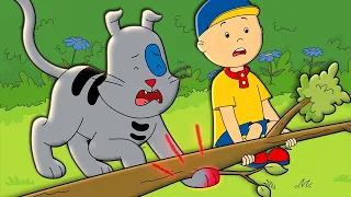 Caillou and Gilbert at the Vet | Caillou Cartoon