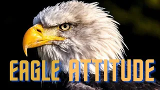 Watch This Video To Change Your Life - Cultivate The Eagle's Attitude - Powerful Motivational Video