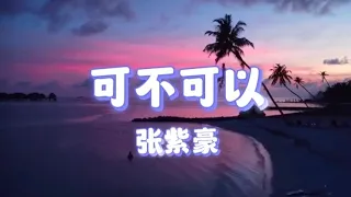 可不可以 - 张紫豪（抖音热门歌）「不希望我的未来不是你 只愿意和你永远不分离 趁我还没有过保质期 趁你还愿意」 【动态歌词】