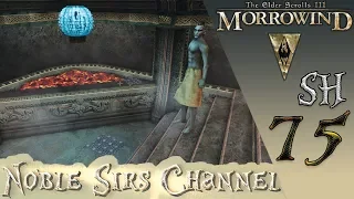 TES 3: Morrowind Tamriel Rebuilt ► Спа, #15 (75)