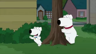 Family Guy - Scrappy Brian