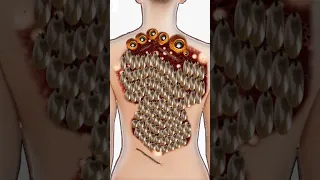 ASMR ticks & maggots remove | severely injured animation#asmr #animation #satisfyingasmr