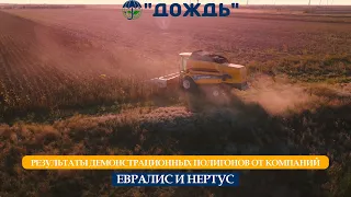 Уборка подсолнуха 2021 года. Урожайность 32,2 центнер. Демо поле от Евралис и Нертус