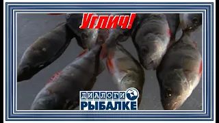 Диалоги о рыбалке - 015/ Углич!