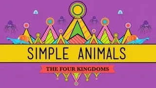 Simple Animals: Sponges, Jellies, & Octopuses - Crash Course Biology #22
