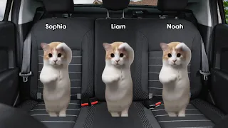 Cat Memes Roadtrip Go To Village Part 1