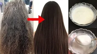 How To Treat Extremely Dry & Damaged Hair at Home | Best Treatment For Frizzy Hair & Split Ends