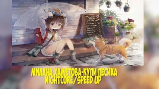 Милана Хаметова-Купи пёсика (speed up/nightcore)