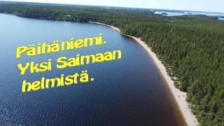 Päihäniemi, one of the pearls of Saimaa