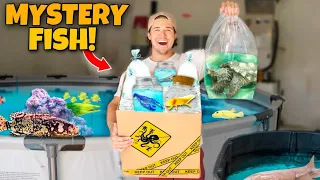 BUYING Every STRANGE FISH Off The WEB For My AQUARIUM!