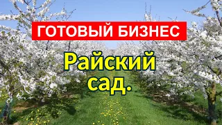 Райский Сад (готовый бизнес)