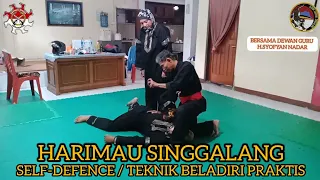 SELF DEFENSE / TEKNIK BELADIRI PRAKTIS PART-2  @HarimauSinggalang