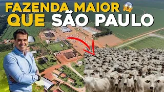 Essa é a FAZENDA RONCADOR - Uma das maiores fazendas do BRASIL! 150 mil hectares!